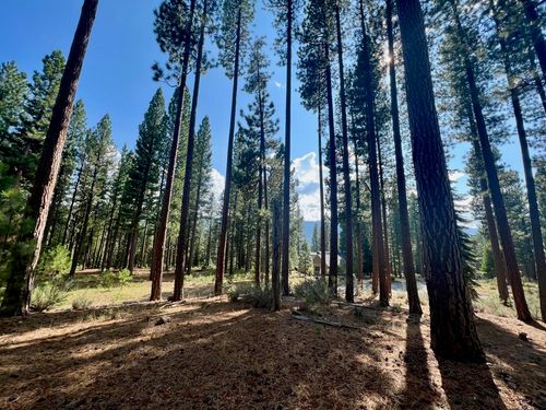 655 Bobcat Trl, Clio, CA, 96106 | Card Image