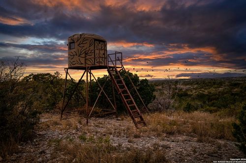 25 Sd 65065 Dusty Rose Ranch, Rocksprings, TX, 78880 | Card Image