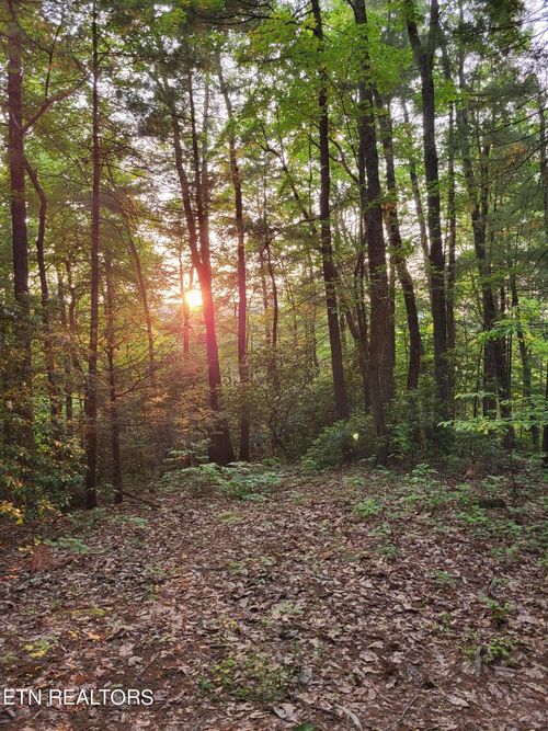 0 Bull Mountain Rd, Del Rio, TN, 37727 | Card Image