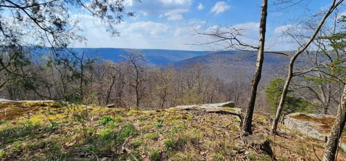0 Roth Point Rd, Altamont, TN, 37301 | Card Image