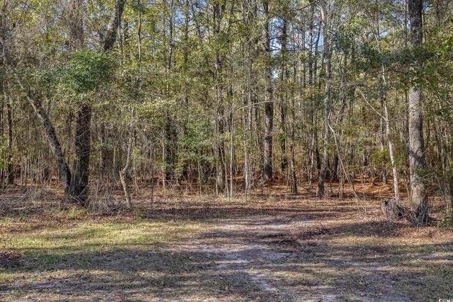 1555 Big Swamp Rd, House other with 3 bedrooms, 4 bathrooms and 3 parking in Pamplico SC | Image 18