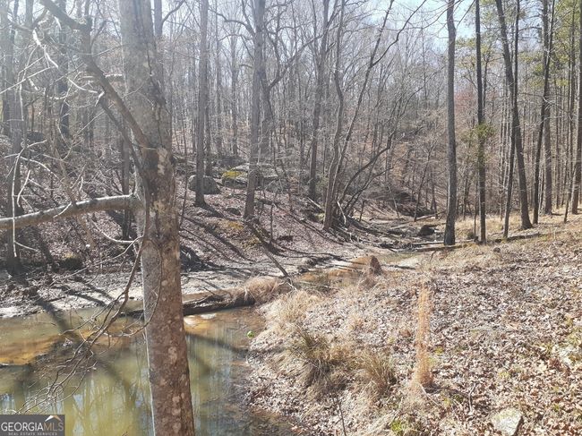 1368 Wash Brown Dr, Home with 0 bedrooms, 0 bathrooms and null parking in Elberton GA | Image 41