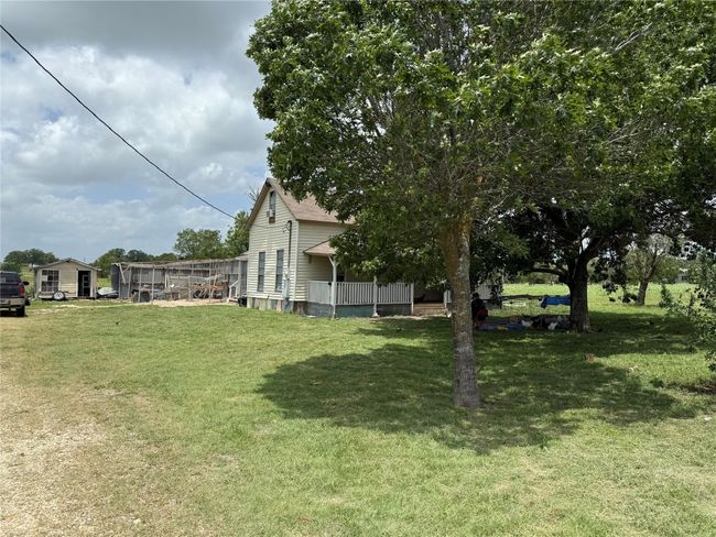 View of green lawn | Image 16