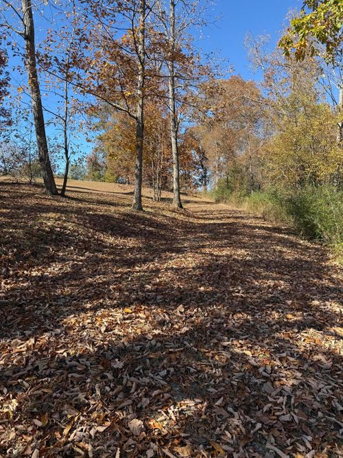 00 Scratch Ankle Rd, Trenton, GA, 30752 | Card Image