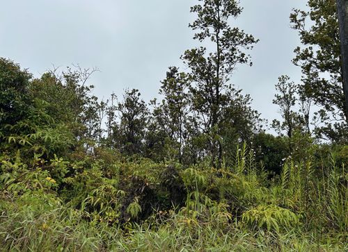 11-2013 Kaleponi Rd, VOLCANO, HI, 96785 | Card Image