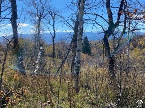 53-509 W Artist Point Way, Coalville, UT, 84017-6807 | Card Image
