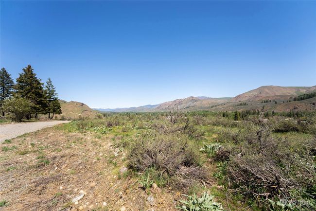 0 Lot 4 Isabella Ln, Home with 0 bedrooms, 0 bathrooms and null parking in Twisp WA | Image 4