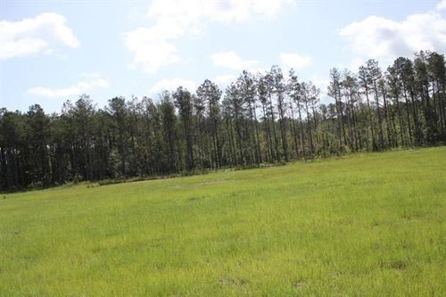 29644 Billy Joe Road, Independence, LA, 70443 | Card Image