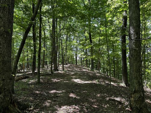 tract-7-at-titus-0 Parkinson Rd, Langsville, OH, 45741 | Card Image