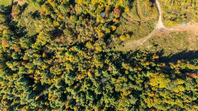 00 Raymo Dr, Home with 0 bedrooms, 0 bathrooms and null parking in Highgate Center VT | Image 8