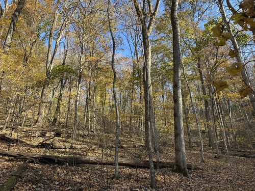 0 Shoreside Dr, Smithville, TN, 37166 | Card Image