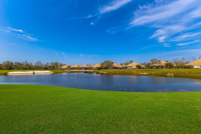 Watch the golfers on the 8th hole! | Image 28
