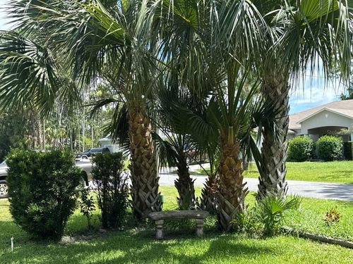 107 Palmwood Dr, Palm Coast, FL, 32164-7519 | Card Image