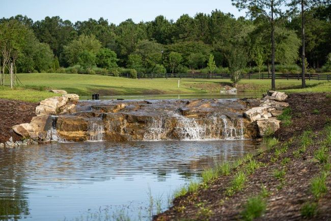 119 Twisted Oak Trail | Image 57
