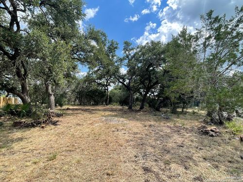 161 Sunnyside Ct, Spring Branch, TX, 78070-4618 | Card Image
