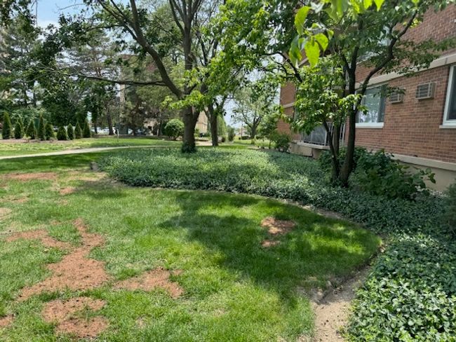 APT-4C - 2211 S Highland Ave, Condo with 2 bedrooms, 2 bathrooms and 2 parking in Lombard IL | Image 14