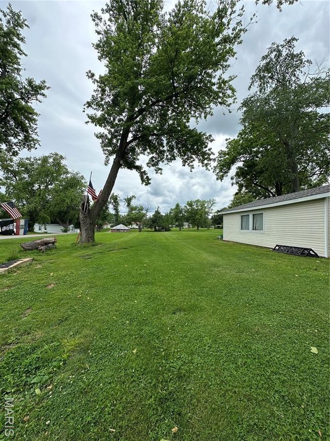 View of grassy yard | Image 5