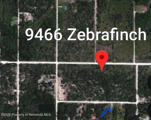 9466 Zebrafinch Ave, Brooksville, FL, 34614 | Card Image