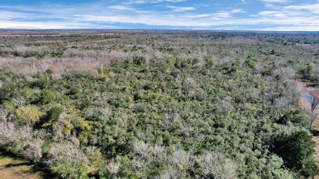 10 Fm 2403, Home with 0 bedrooms, 0 bathrooms and null parking in Alvin TX | Image 17