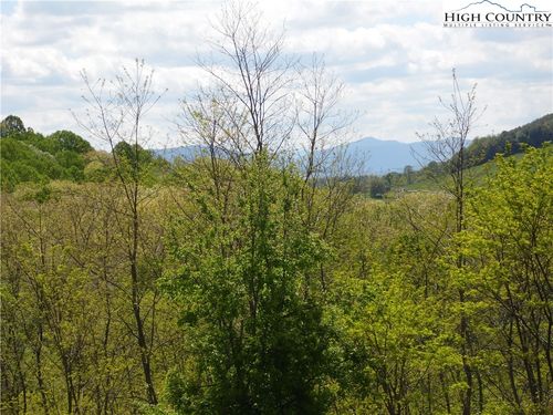 TBD Ginkgo Drive, Sparta, NC, 28675 | Card Image