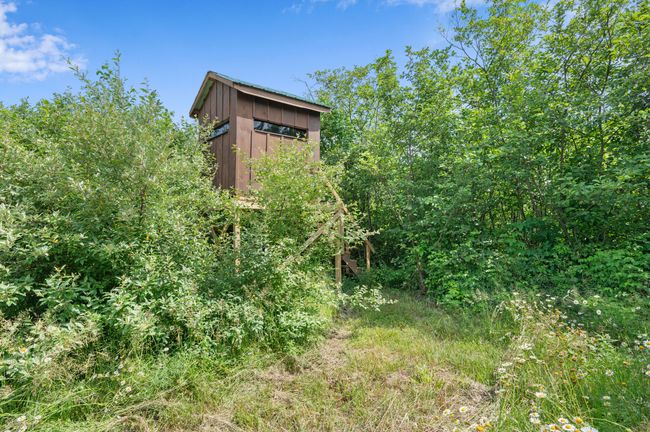 5004 N Cypress Ave, Home with 0 bedrooms, 0 bathrooms and null parking in Big Rapids MI | Image 31