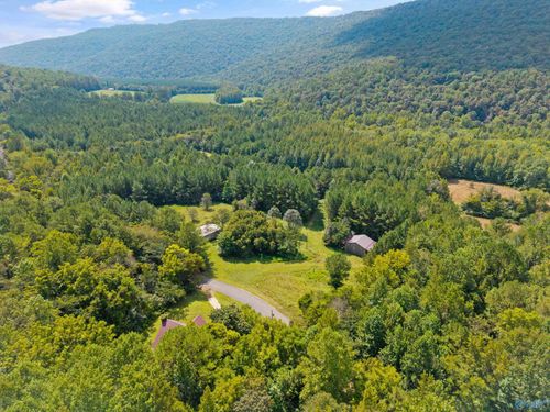 2-3818-2 County Road 4, Hollytree, AL, 35751-5420 | Card Image