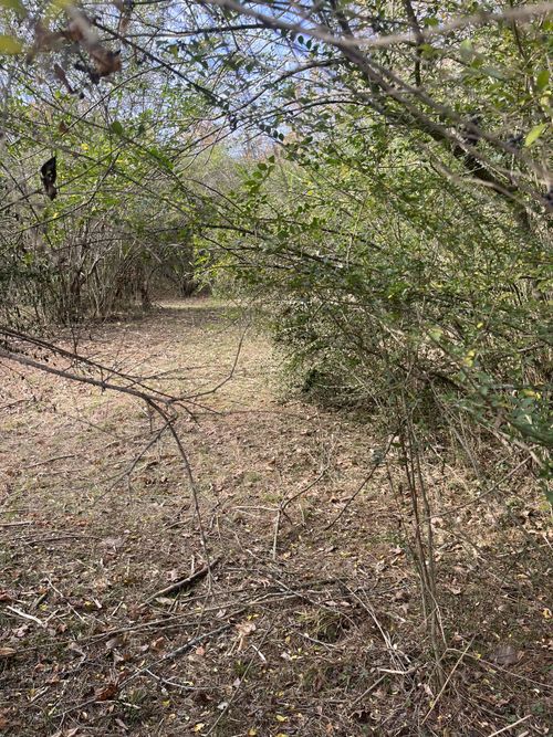 3371 Freeman Hollow Rd, Goodlettsville, TN, 37072-9187 | Card Image