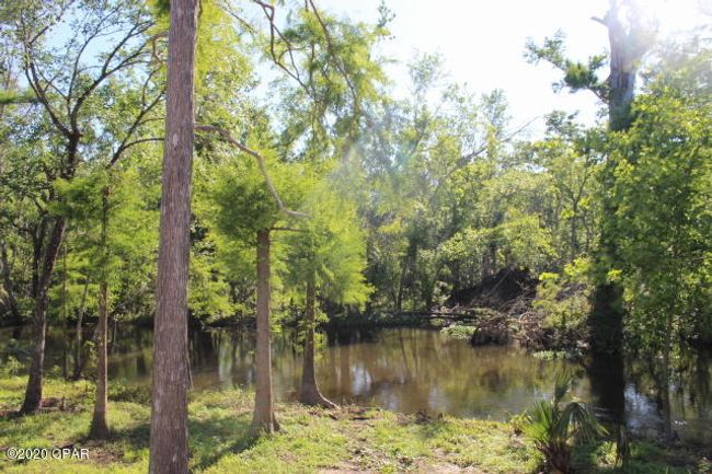 10012 Sw Windsong Way, Home with 3 bedrooms, 3 bathrooms and null parking in Blountstown FL | Image 6