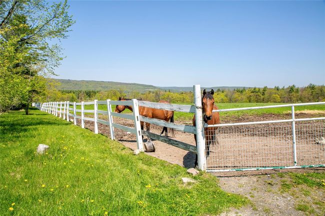 View of yard featuring a rural view and fence | Image 48