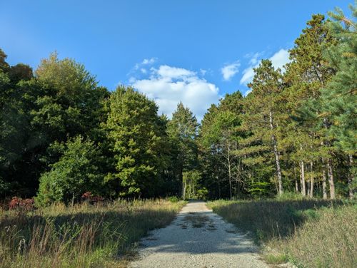 6698 Skeels Rd, Holton, MI, 49425-9793 | Card Image