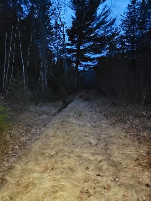 WA031 King Street, Marion Twp, ME, 04628 | Card Image