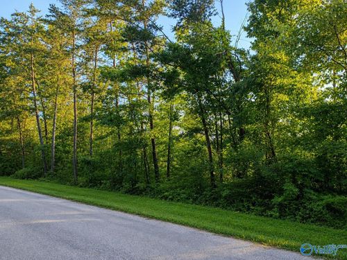 12c-13-Tract 12C -13 County Road 711, Cedar Bluff, AL, 35959 | Card Image