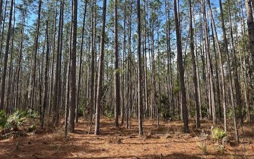 0 N Us Highway 129, BELL, FL, 32619 | Card Image