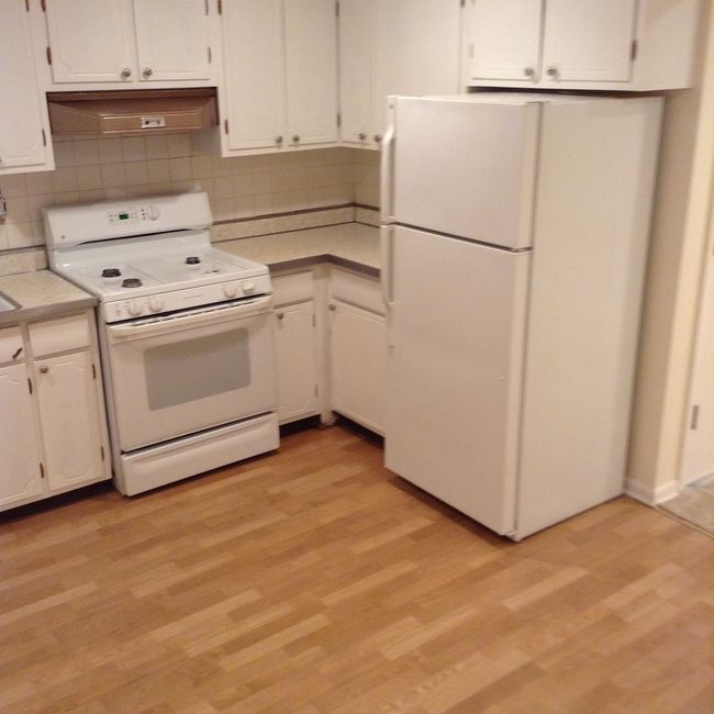 APT-2 - 960 Shermer Rd, Condo with 1 bedrooms, 1 bathrooms and 1 parking in Glenview IL | Image 7
