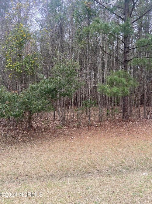 Lot 88 Johnson Dr, Hertford, NC, 27944 | Card Image
