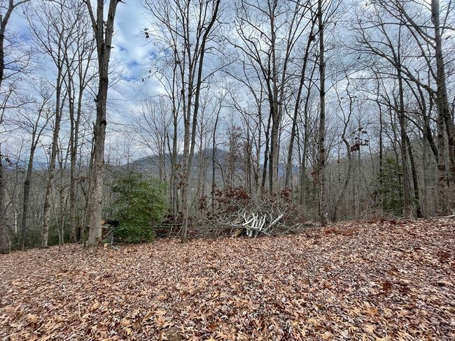 #114 Eagles Vw, Home with 0 bedrooms, 0 bathrooms and null parking in Hayesville NC | Image 8