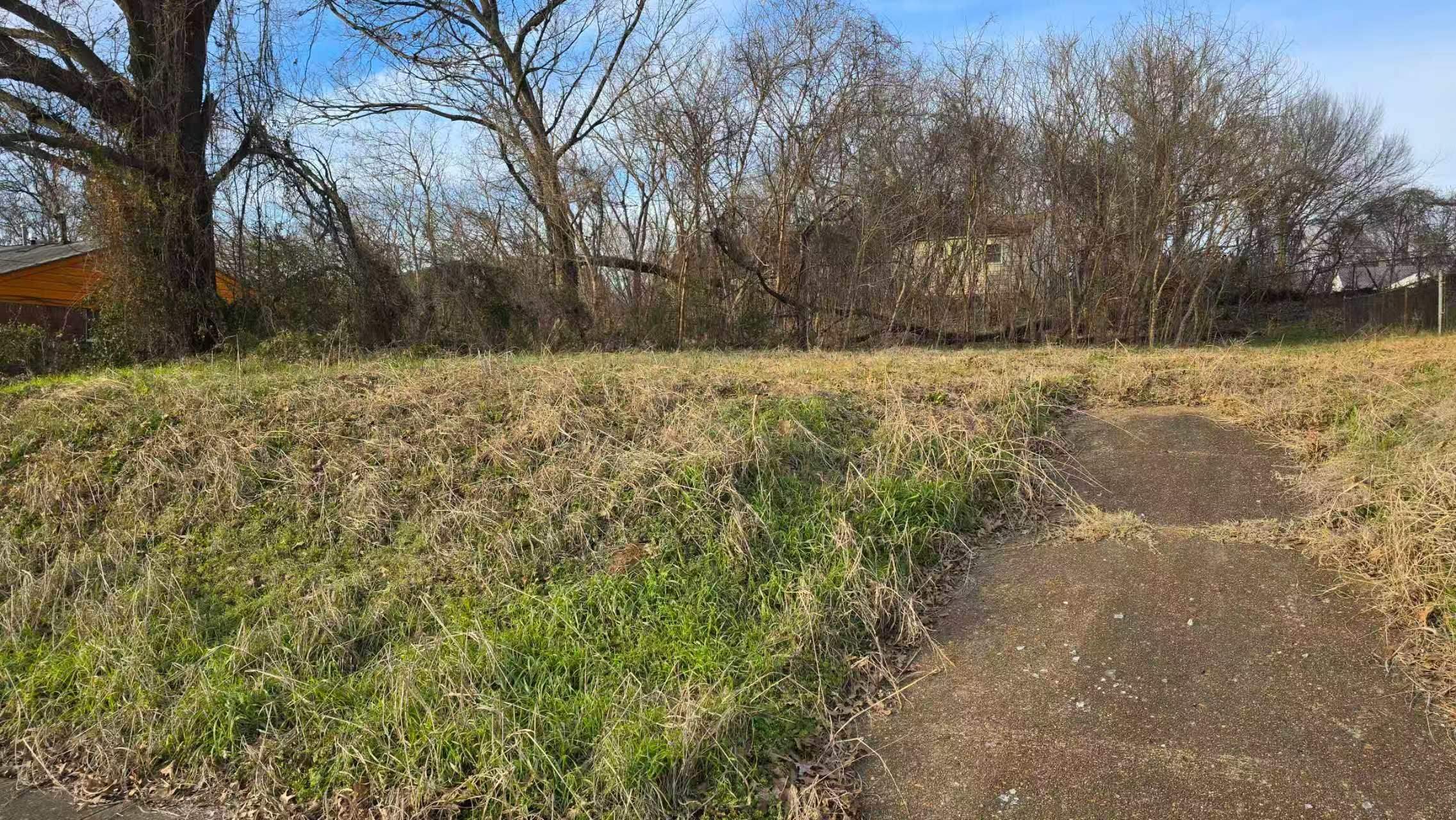 Land in Memphis 2