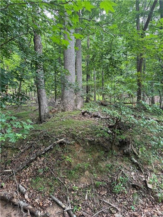 830 N Duffer Dr, Home with 0 bedrooms, 0 bathrooms and null parking in Jasper GA | Image 11