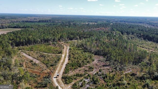 268-ACRES - 99 Old Happy Ln, Home with 0 bedrooms, 0 bathrooms and null parking in Brooklet GA | Image 26