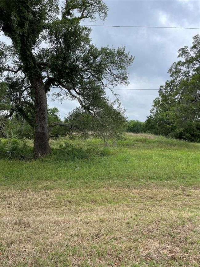 526 Pony Trl, Home with 0 bedrooms, 0 bathrooms and null parking in Angleton TX | Image 7