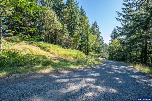 TL 1400 Bartels Creek Dr, Lebanon, OR, 97355 | Card Image