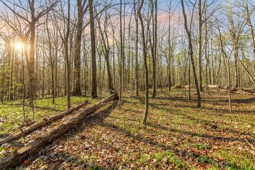 6 Acres Akers Ct, Ellijay, GA, 30540-0732 | Card Image