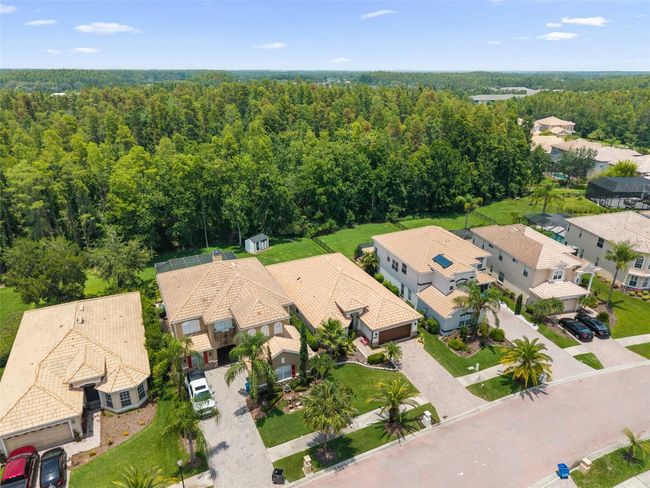 10880 Cory Lake Dr, House other with 3 bedrooms, 2 bathrooms and null parking in TAMPA FL | Image 42