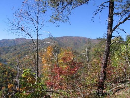 14-14 Blue Vista Rd, Canton, NC, 28716 | Card Image