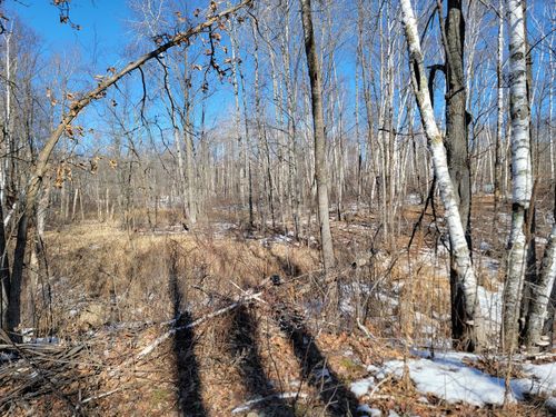 TBD Xxxx Meadow Lake Road Sw, Motley, MN, 56466 | Card Image
