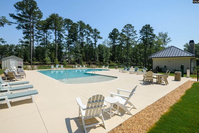 812 Elms Spinney Ln, Home with 0 bedrooms, 0 bathrooms and null parking in Chapin SC | Image 4