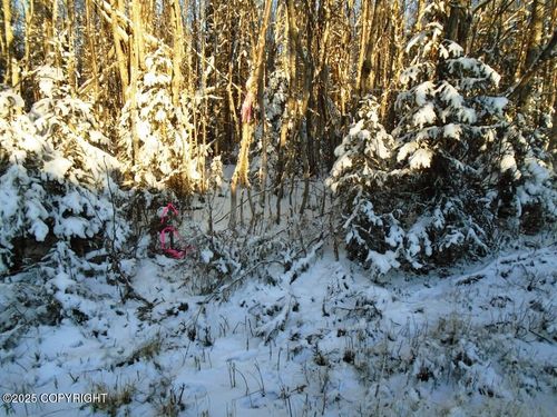 6661 S Lark Cir, Wasilla, AK, 99623-8835 | Card Image