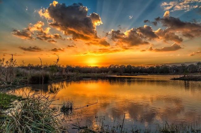Seabourne Creek Nature Park is the largest park in Rosenberg with 208.9 acres of parkland on the Great Texas Coastal Birding Trail with over 212 species sited to date. The park is comprised of a 4-acre lake, a 6-acre wetland, and 20 acres of natural | Image 19