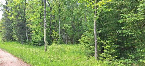 Lot 1, Block 1 Raspberry Trl, LaPointe, WI, 54850 | Card Image