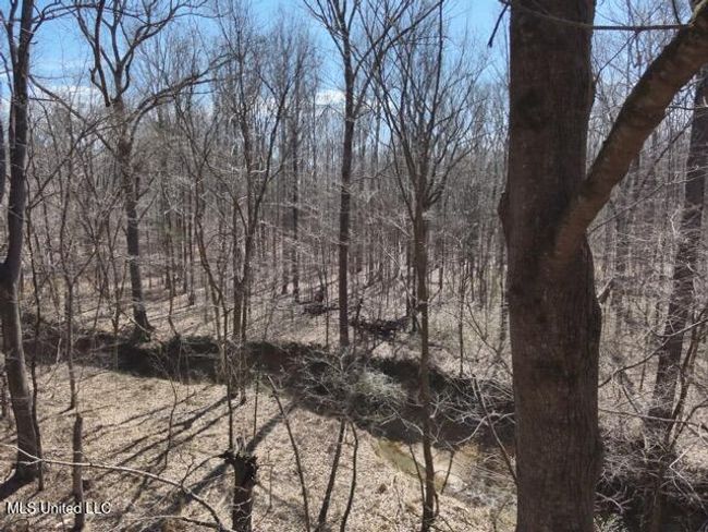 DJI_20250303121833_0007_V Medium | Image 14